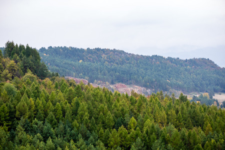 colorful countryside view in carpathians. mountains and forest trees with green meadowsの写真素材