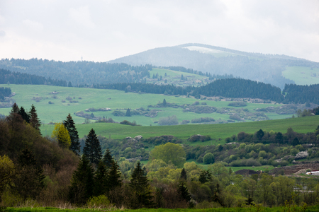 colorful countryside view in carpathians. mountains and forest trees with green meadowsの写真素材
