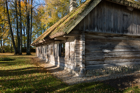 country house with oak trees in yellow autumnの写真素材