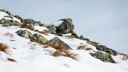 western carpathian mountain tops in winter covered in snow on a sunny day. slovakiaの写真素材
