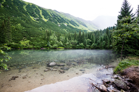 mountain lake in summer with stream and fog in forestの写真素材