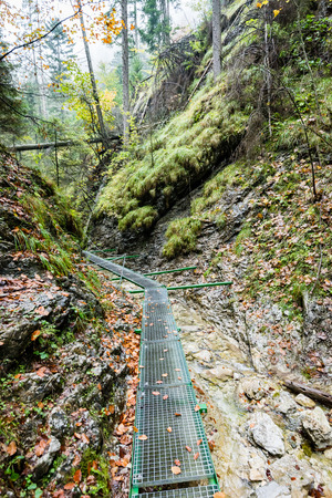 tourist trail in misty woods with boardwalks and rocks for climbingの写真素材