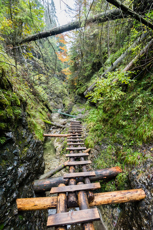 tourist trail in misty woods with boardwalks and rocks for climbingの写真素材