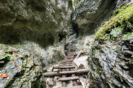 tourist trail in misty woods with boardwalks and rocks for climbingの写真素材