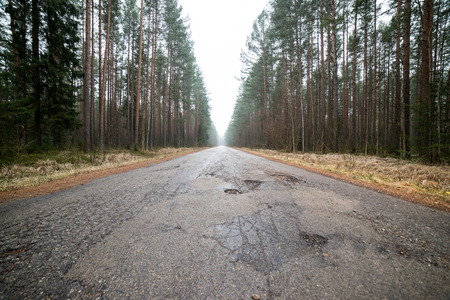 old road in the forestの写真素材