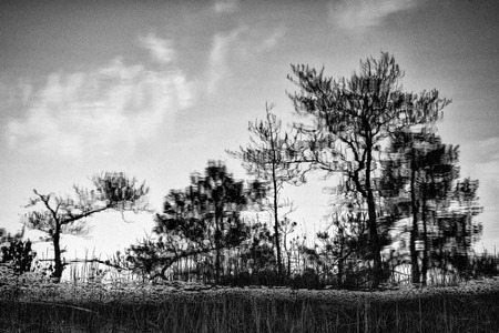 reflections in lake with boardwalk in countryの写真素材