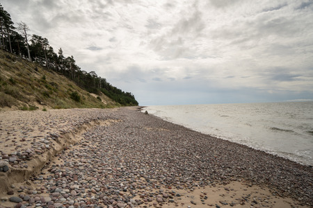 rocky beach in the baltic sea with plants and skylineの写真素材