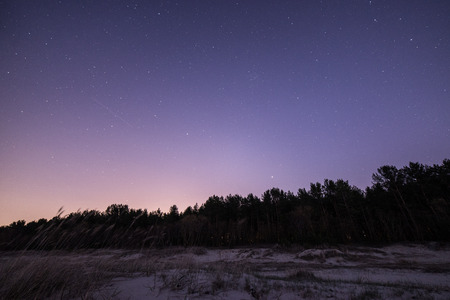 night sky with stars on the summer beach. space view from earthの写真素材