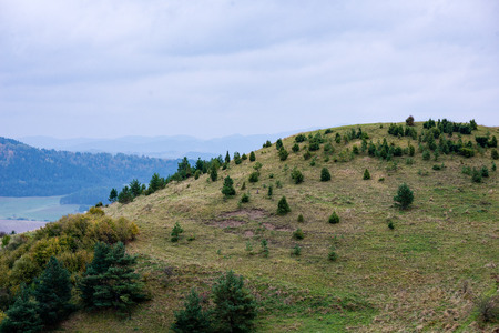 carpathian mountains in winter snow. romanina, slovakiaの写真素材