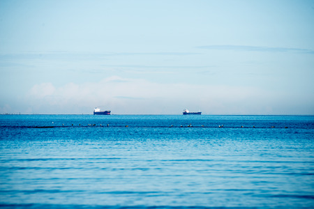 beach view with plants in water and blue skyの写真素材