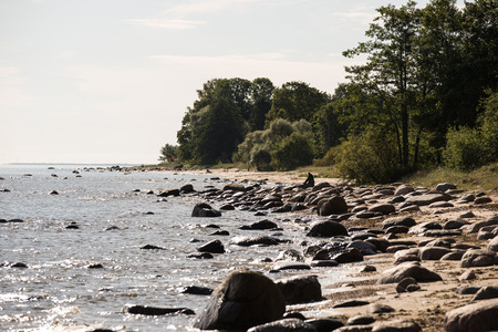 rocky beach in the baltic sea with plants and skylineの写真素材