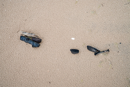 pieces of wood on wet beach
