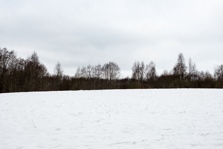 countryside fields in winter with forests in background and clouds above