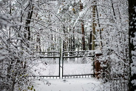 metal fence in winter covered with snow