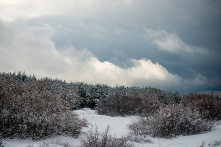 frozen beach view by the baltic sea with sand and ice in waterの写真素材