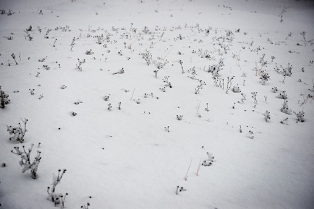 frozen beach view by the baltic sea with sand and ice in waterの写真素材