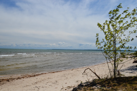 Rocky autumn beach with waves crashing on the rocks in misty weatherの写真素材