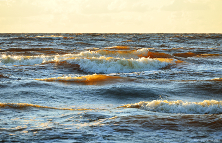 Rocky autumn beach with waves crashing on the rocks in misty weatherの写真素材