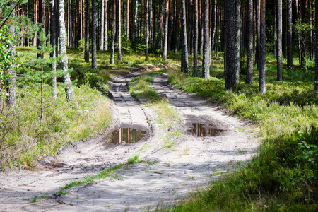 simple country road in summer at countryside with trees around