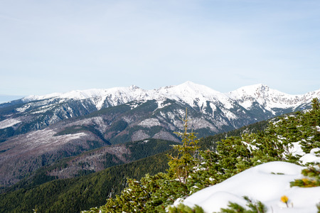western carpathian mountain tops in winter covered in snow on a sunny day. slovakia