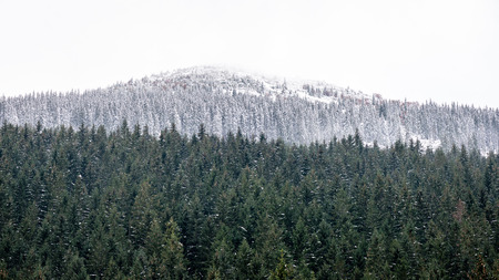 western carpathian mountain tops in winter covered in snow on a sunny day. slovakiaの写真素材