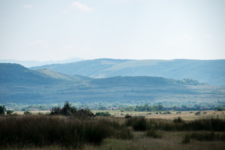 View to the carpathian mountains from forest with lonely trees and clouds aboveの写真素材