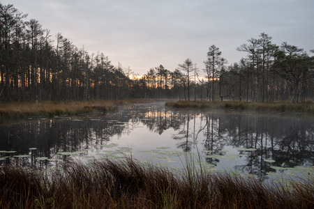 reflections in the lake water at sunrise
