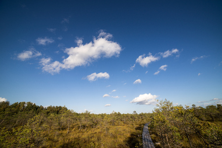 Country landscape under morning sky with clouds. Overcast sky before storm.