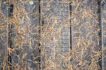 old wooden planks covered with autumn leaves