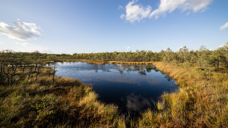 Autumn lake with reflections of trees and clouds