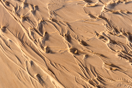 Wet sand texture in the sea shore beach