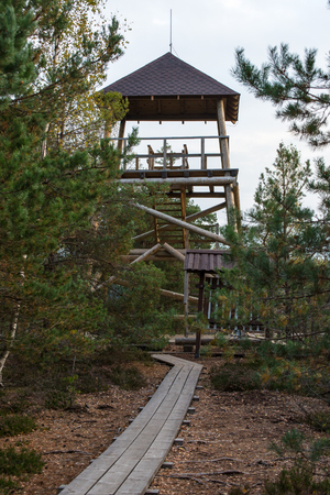 autumn colored tourism trail in the woods in the countrysideの写真素材