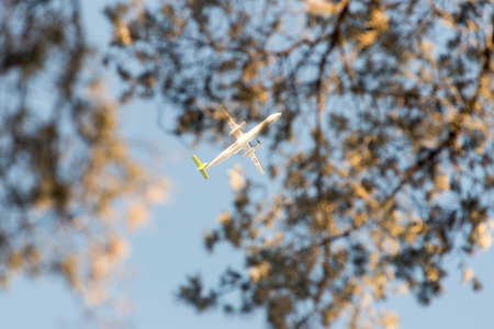 christmas background of snowy forest, frosted tree tops on sky.の写真素材