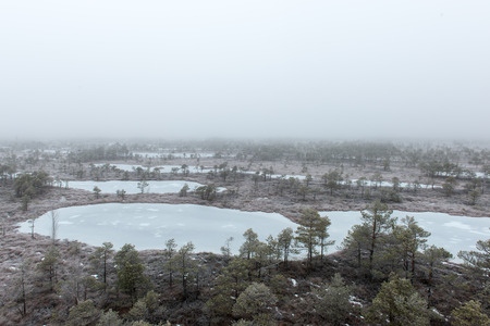 snowy landscape in frosty winter bog in country sideの写真素材
