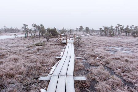 wooden boardwalk in frosty winter bog landscape with frozen natureの写真素材
