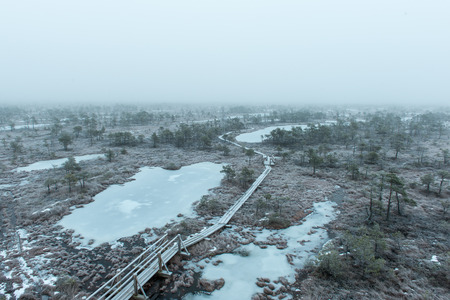 wooden boardwalk in frosty winter bog landscape with frozen natureの写真素材