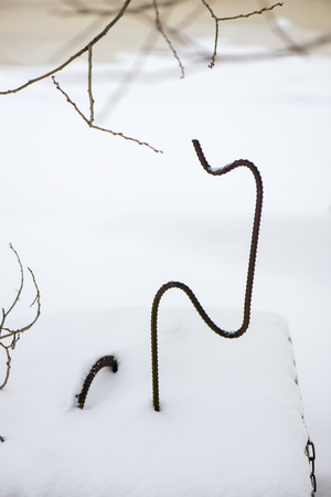 frozen abstract tree branches and plants in winter snowの写真素材