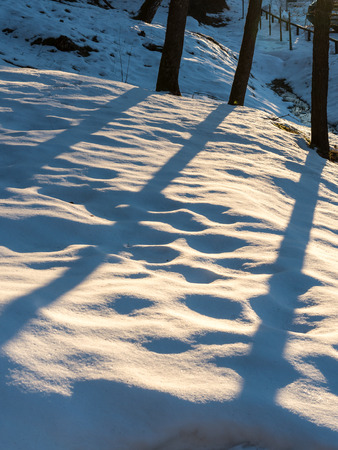 rural scenery in winter with sandstone cliffs and tourist trails. Gauja National Park. Latviaの写真素材