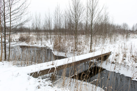 winter rural scene with fog and white frozen river and frost. latviaの写真素材