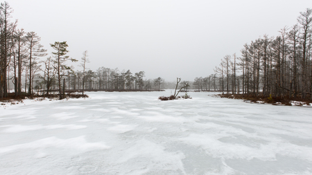winter rural scene with fog and white fields and frost. latviaの写真素材