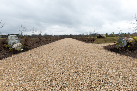 empty country road in spring with perspective and shadowsの写真素材