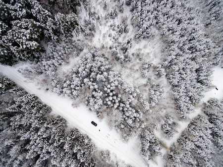 aerial view of winter forest covered in snow. drone photographyの写真素材