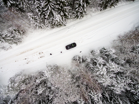 aerial view of winter forest covered in snow. drone photographyの写真素材