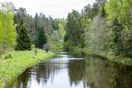 Summer river with reflections in Gauja National Park in Latviaの写真素材