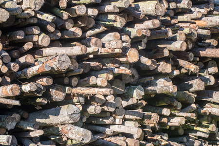 wooden log storage place for heating