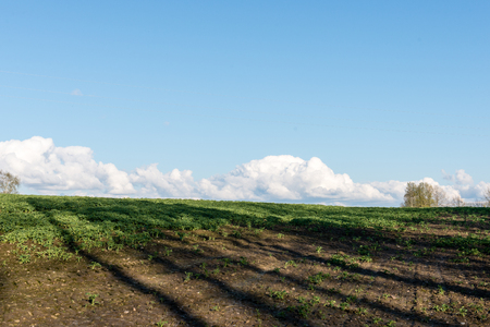 countryside fields in early spring with clouds and farmlandの写真素材