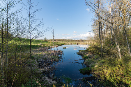 scenic and beautiful reflections of trees and clouds in water of the river