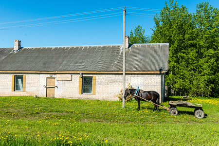 countryside buildings in summer in small villageのeditorial素材
