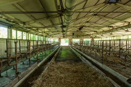 abandoned country farm building in bright summer sun in latviaの写真素材