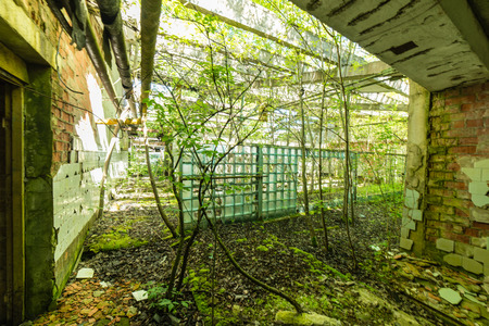 abandoned country farm building in bright summer sun in latviaの写真素材